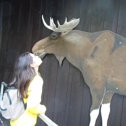 Alpenzoo 2a