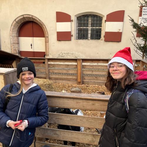 Weihnachtsmarkt Hall 2b