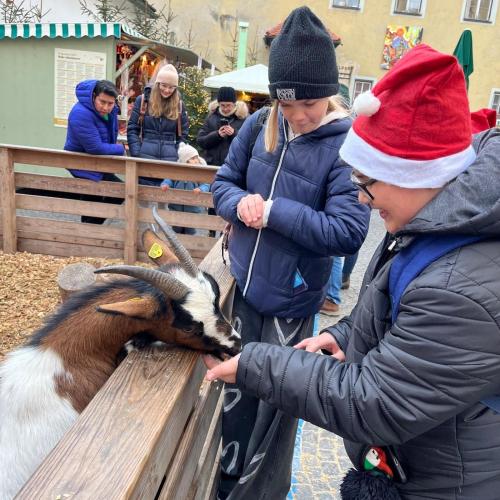 Weihnachtsmarkt Hall 2b