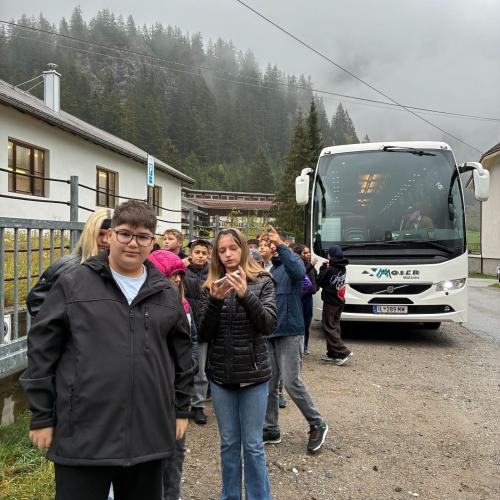 Bus